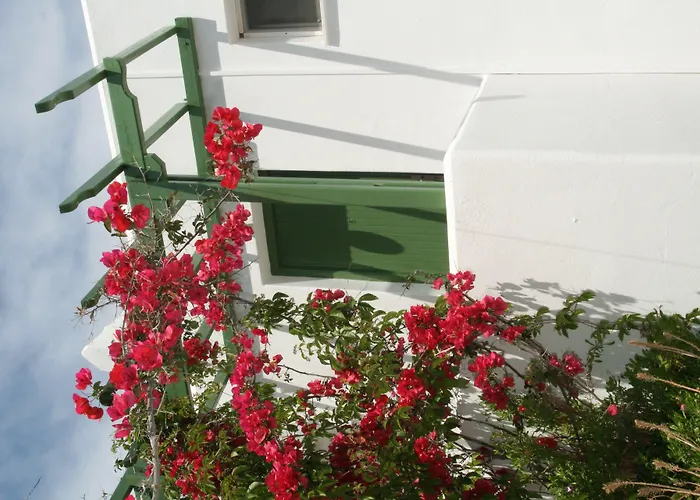 Adonis & 3* Naousa (Paros)