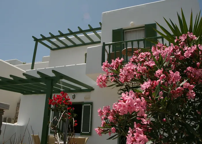 Adonis & Hotel Naousa (Paros)