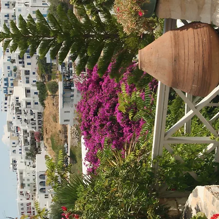 Ξενοδοχείο Adonis &