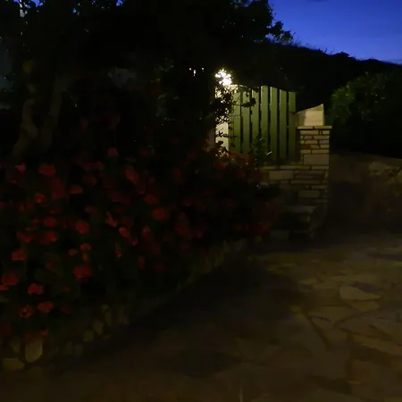 Adonis Studios&apartments