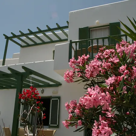 Adonis Studios&apartments Hotel Naousa (Paros)